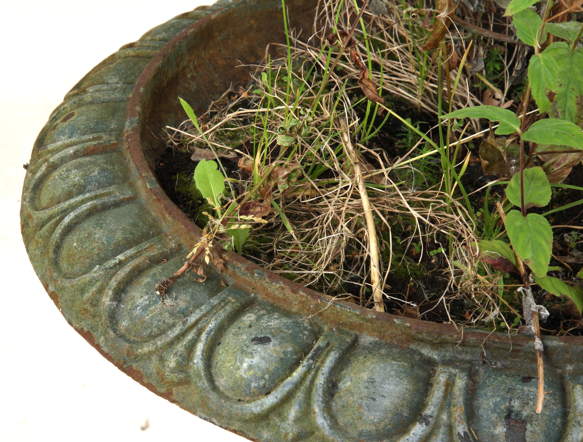 TRÄDGÅRDSURNOR, ett par, järn. 1900-talets andra hälft.