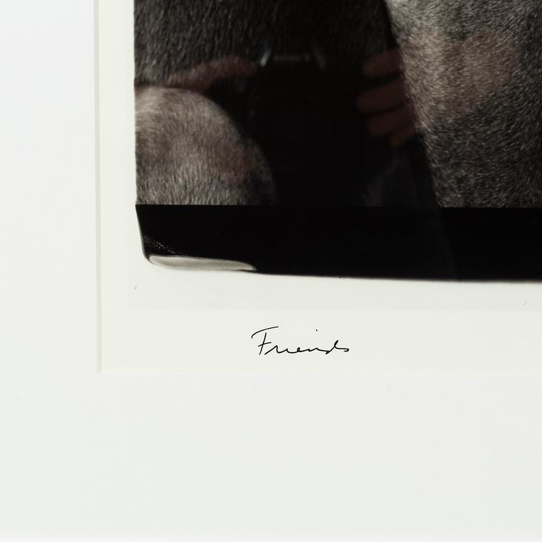 William Wegman, archival pigment print, 2009, signerat. Numrerat 257/1500 a tergo.