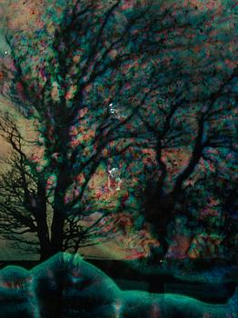 Wolfgang Ganter, "Untitled (Two Trees)".