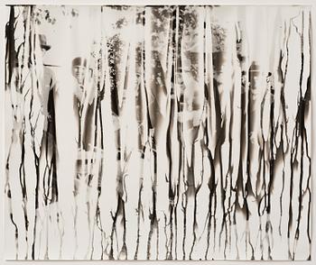 Iñaki Bonillas, "The Rain Came Last", 2013.