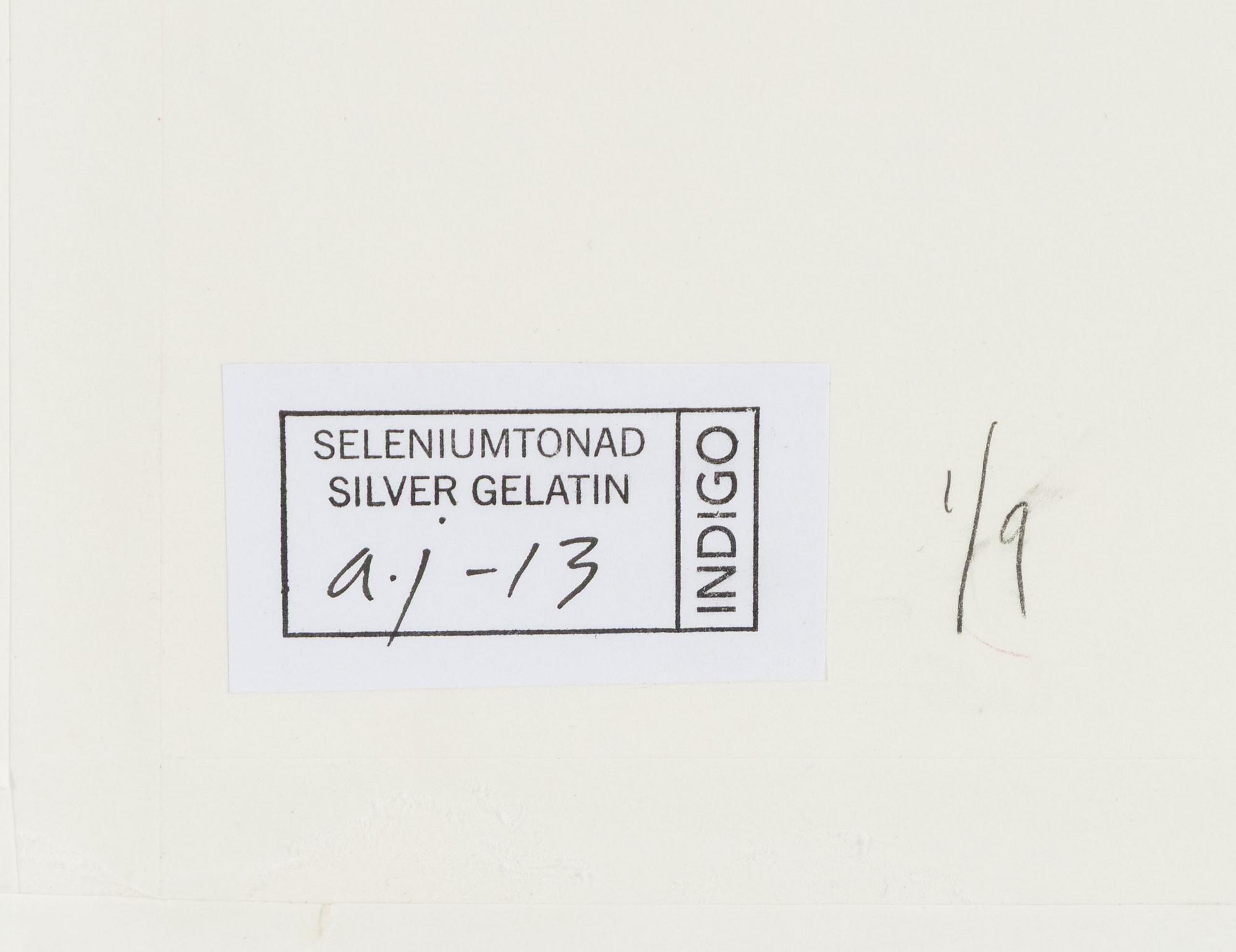 Lennart Nilsson,  "Isbjörnsjakt vid Hvitøya (Vitön), Svalbard, Norge 1947".