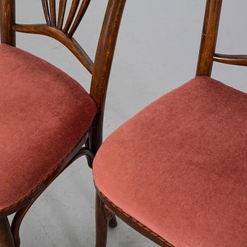 2 pcs of chairs, Fischel, first half of the 20th century,