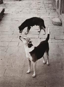 171. Pentti Sammallahti, "Swayambhunath, Nepal, 1994".