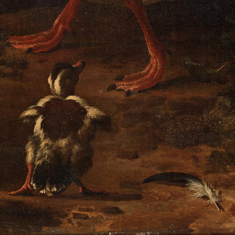 Melchior de Hondecoeter Attributed to, A duck family by the water.