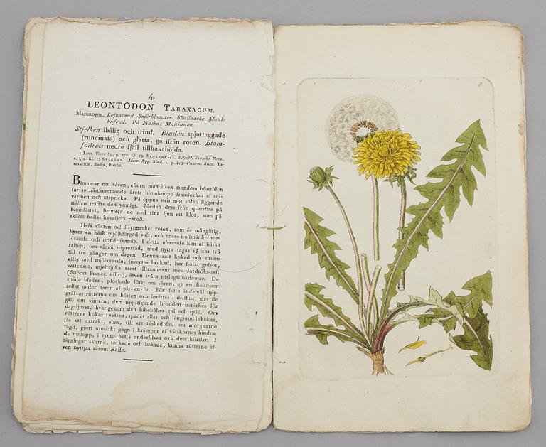 JOHAN WILHELM PALMSTRUCH, "Svensk Botanik, vol I-V. 1803-1805.
