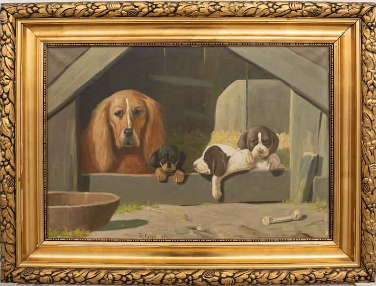 Theodor Friis, Dog Portrait.