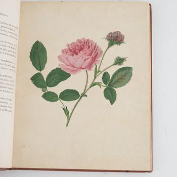 With 30 hand-coloured plates of Roses.