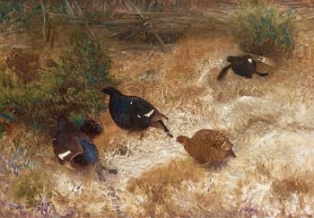 95. Bruno Liljefors, Black grouse.