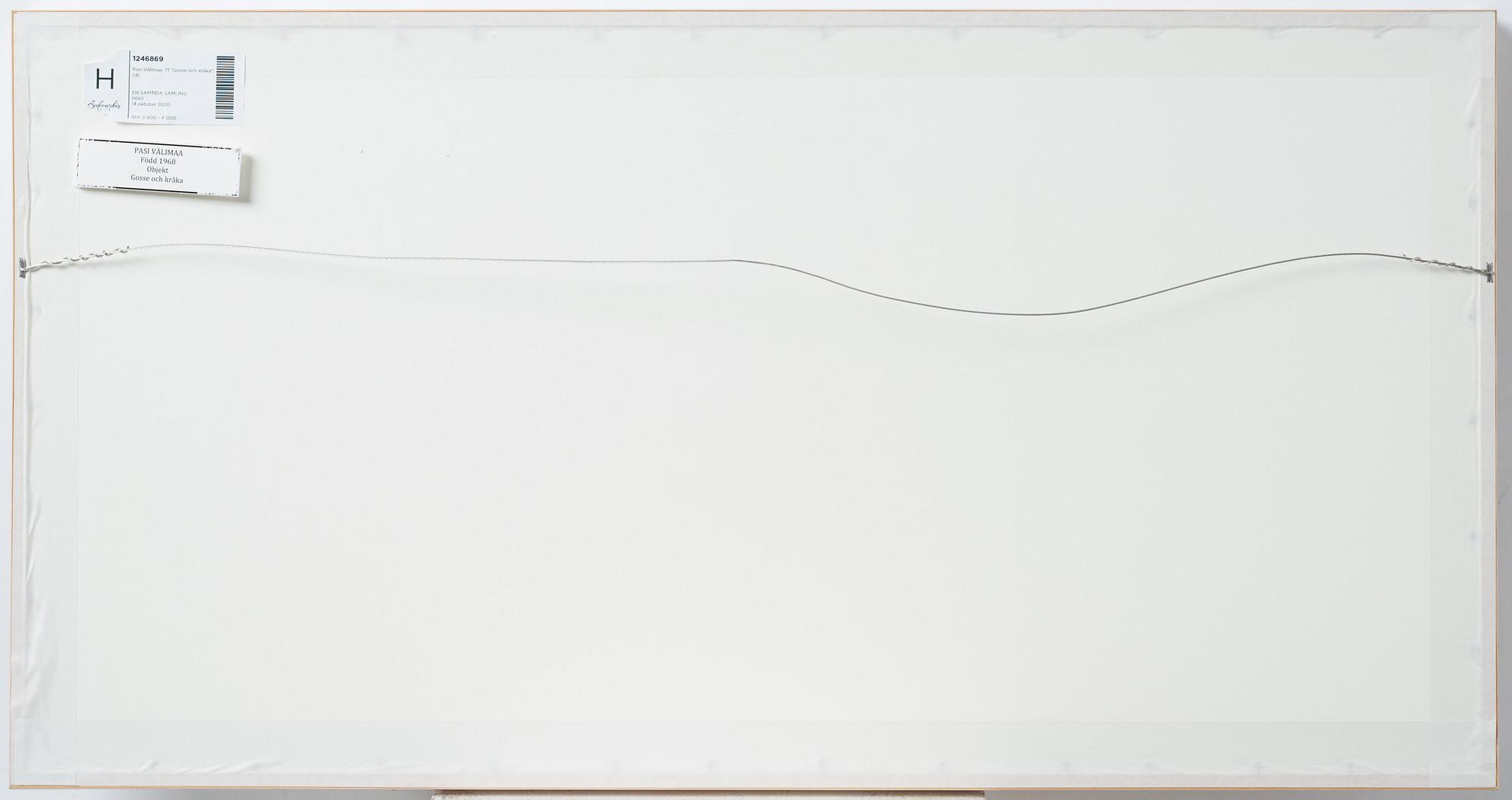 Pasi Välimaa, "Gosse och kråka".