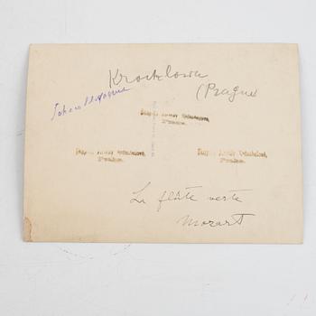 Photographs, 7 pcs, first half of the 20th Century.