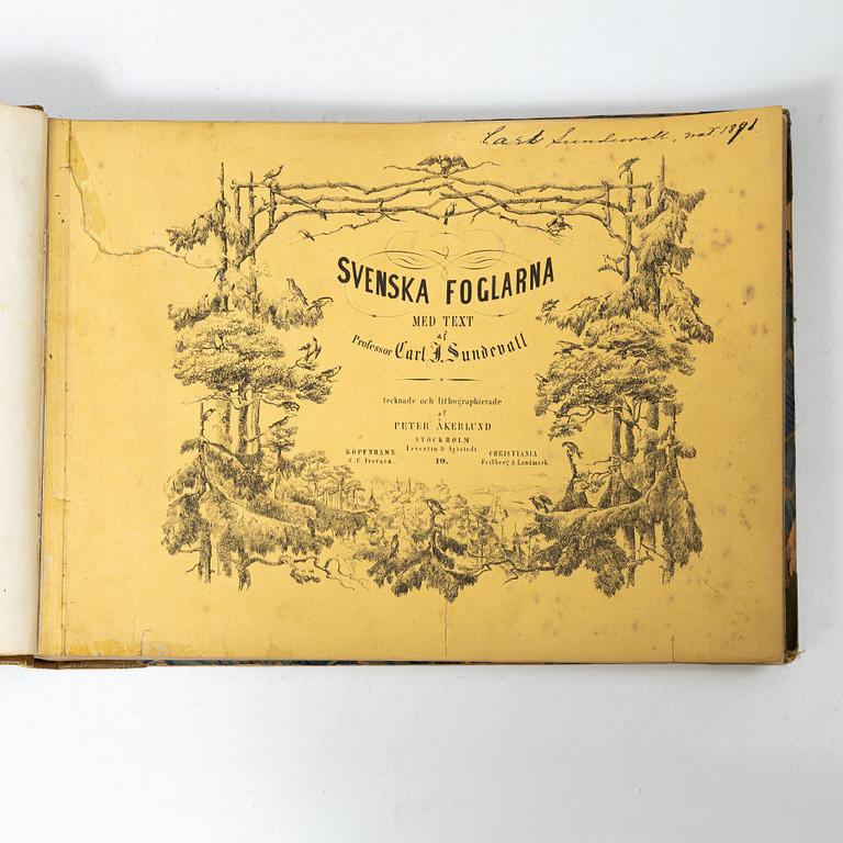 Carl J. Sundevall & Peter Åkerlund, three books, 'Svenska Foglarna'.