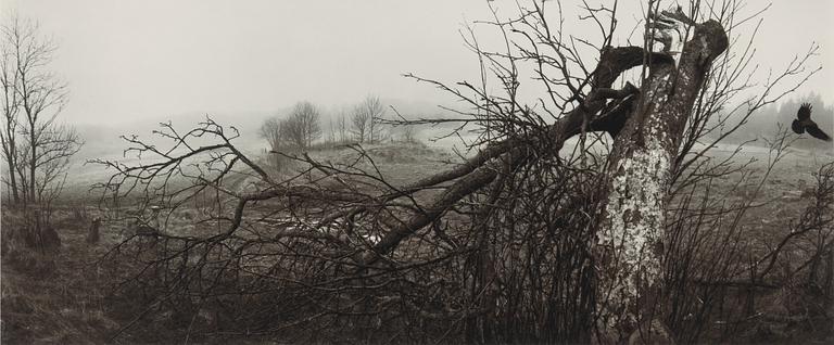 Pentti Sammallahti, "Lemland, Åland, 1988".