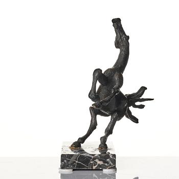 Sergio Capellini, stegrande häst.