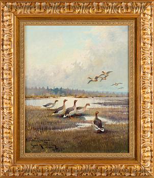 Ejnar Kohlmann, Geese.