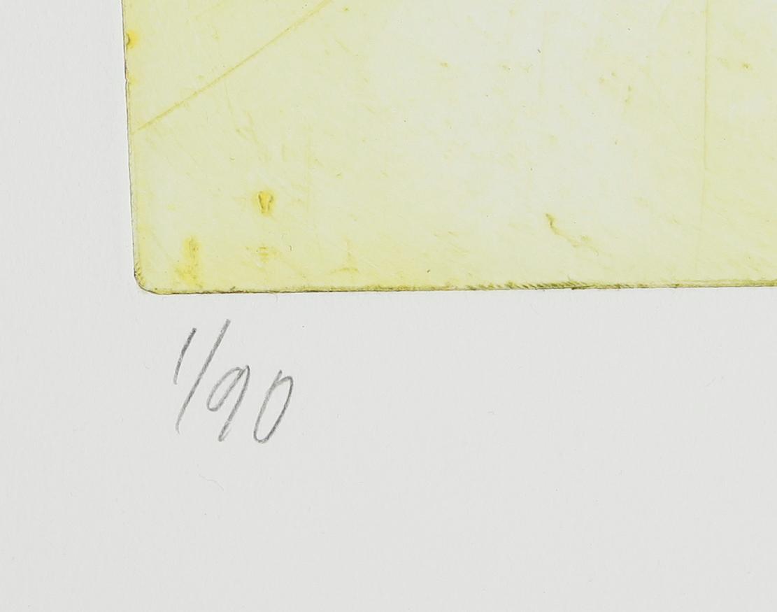 SUZANNE NESSIM, färgetsning, signerad och daterad -86, numrerad 1/90.