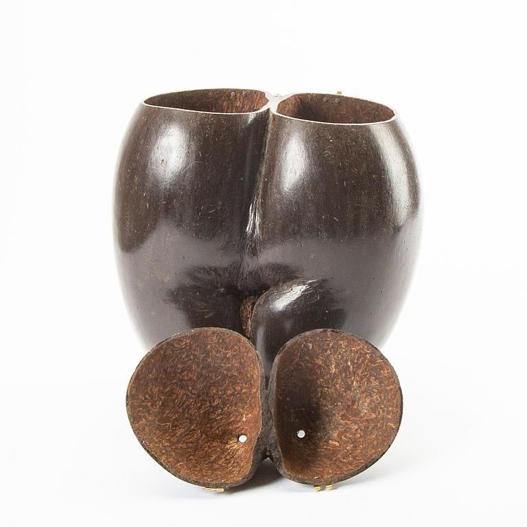 Ash, double coconut, so called Coco de Mer, Lodoicea maldivica.