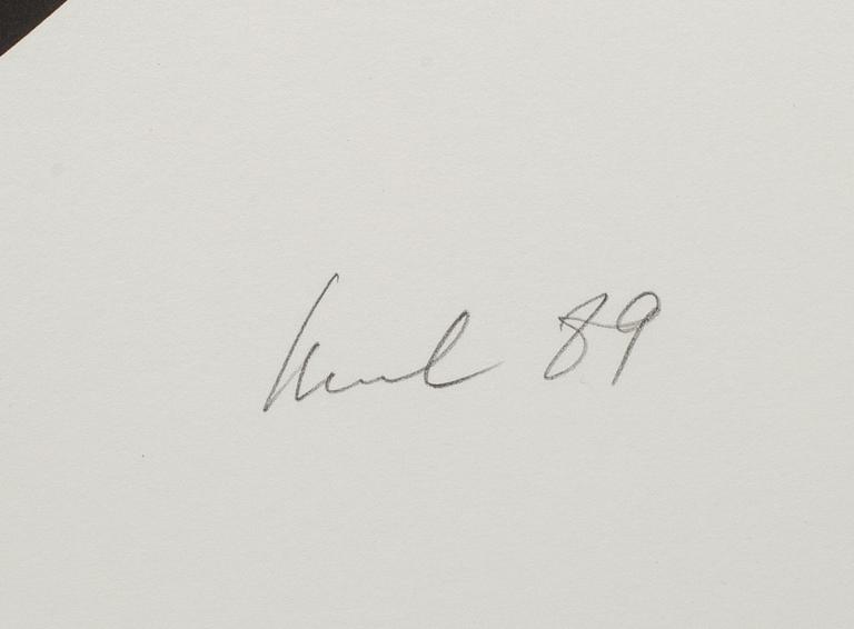 RAUL MEEL, färgserigrafi, signerad och numrerad 7/50, daterad 89.