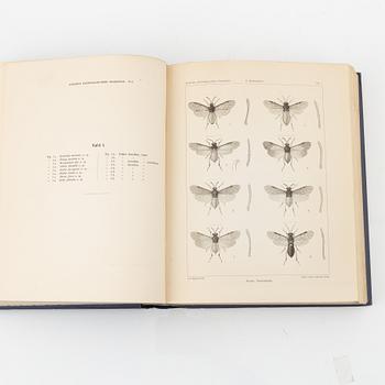Yngve Sjöstedt, Zoologische Kilimandjaro-Meru Expedition 1905-1906, 3 volumes, P.Palmqvists Aktiebolag Stockholm, 1910.