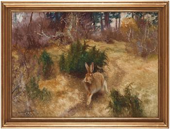 Bruno Liljefors, Hare in an autumn landscape.