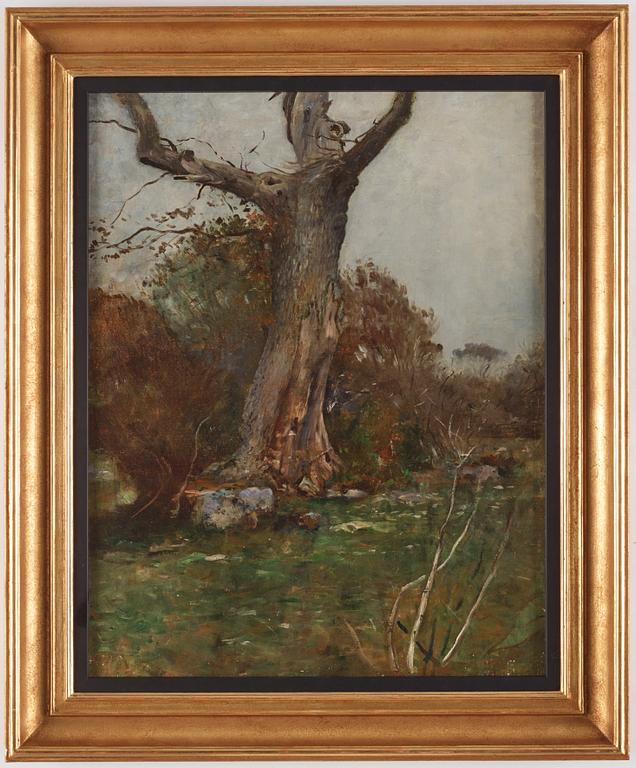 Wilhelm von Gegerfelt, Motif from Torekov.