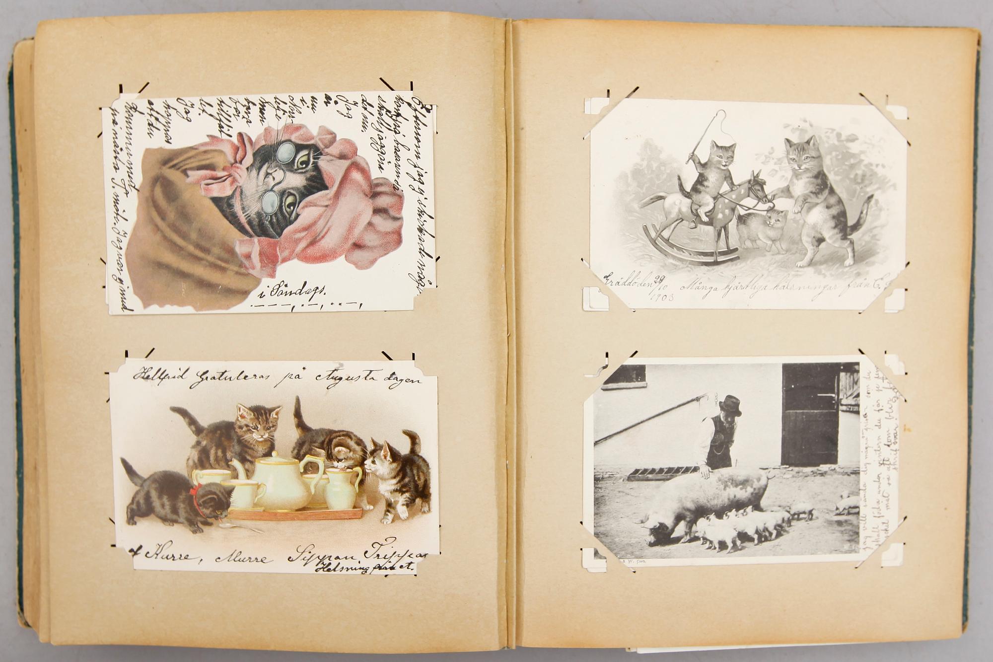 BREFKORTSALBUM, omkring år 1900.