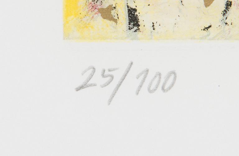 Canal Cheong-Jagerroos, Sommitelma.