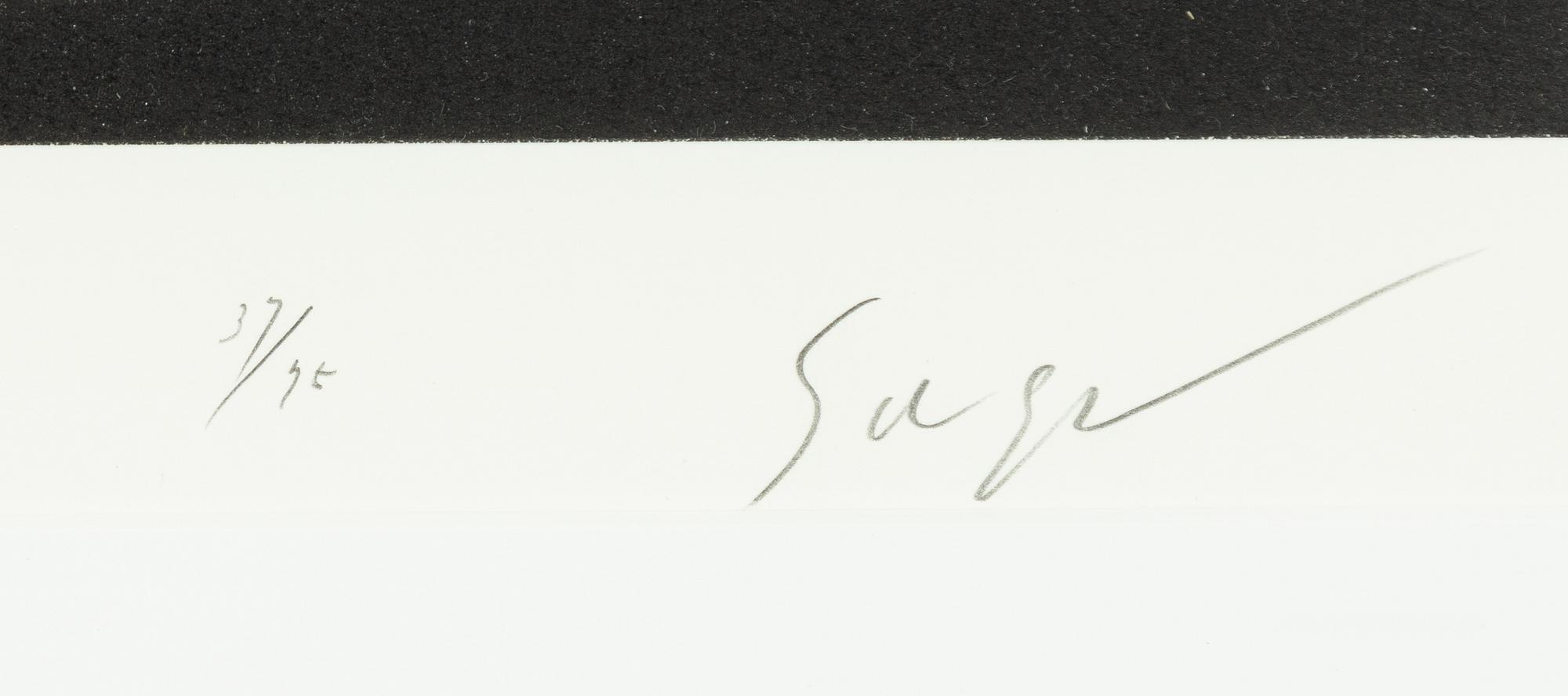 Hiroshi Sugimoto, ”Mathematical Form: Surface 0004”.