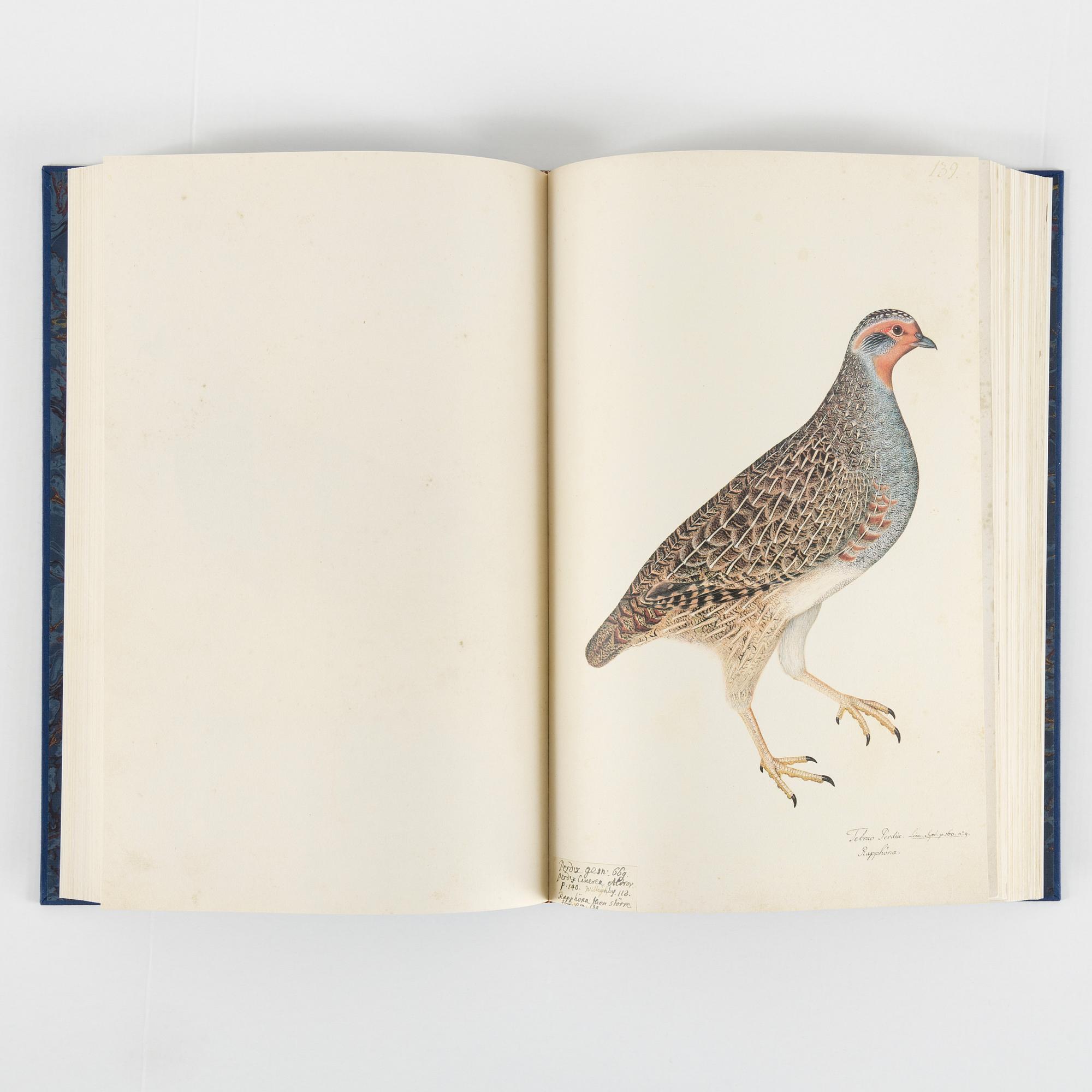 Olof Rudbeck A portfolio and two books, 1985. 35 litographs in color.