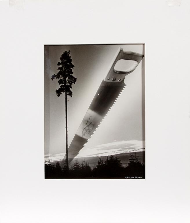 EMIL HEILBORN, fotografi, sign o stämpelmärkt.