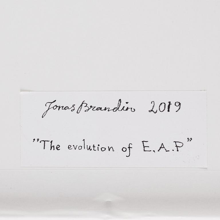 Jonas Brandin, "The evolution of E.A.P".