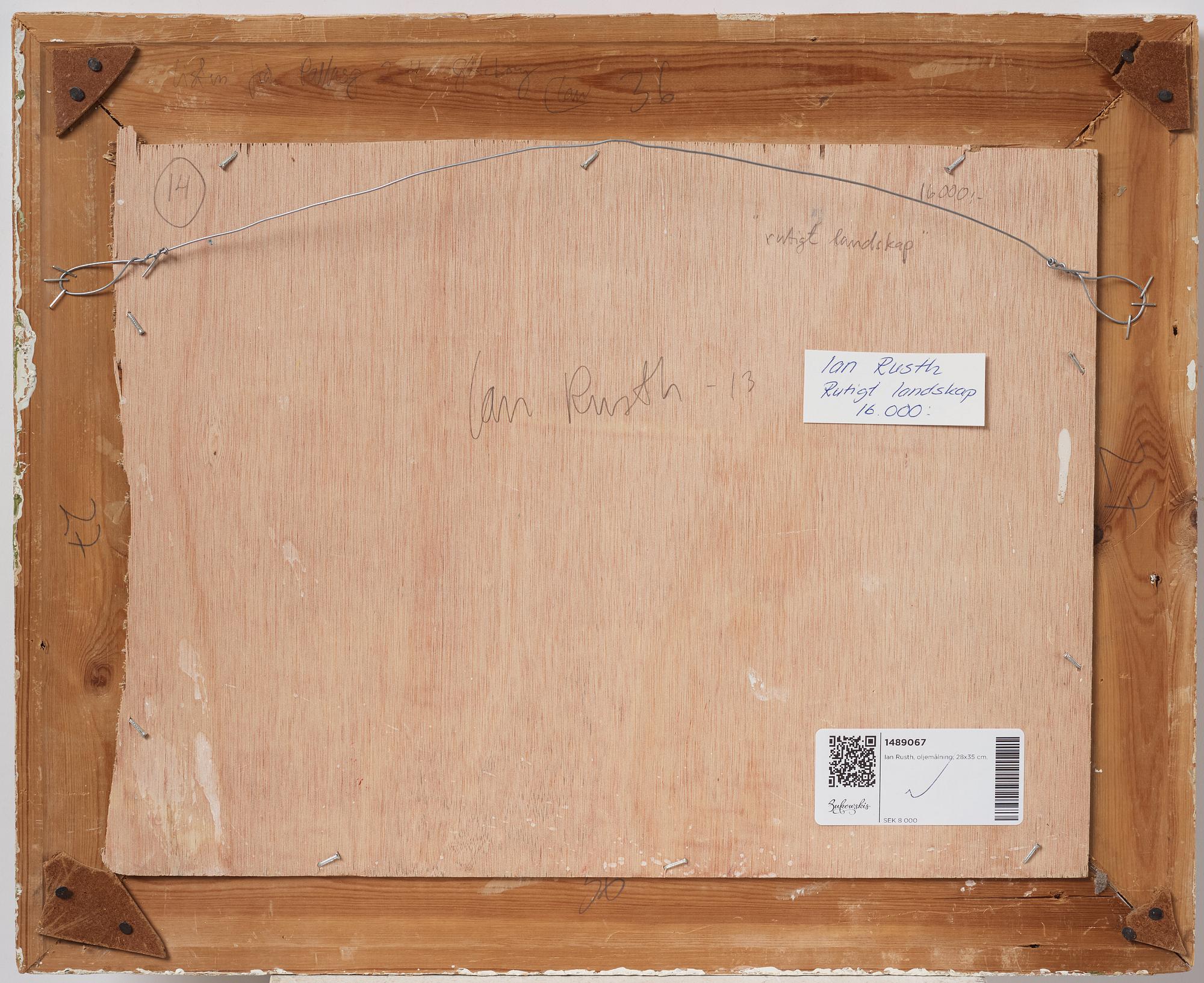 Ian Rusth, "Rutigt landskap".