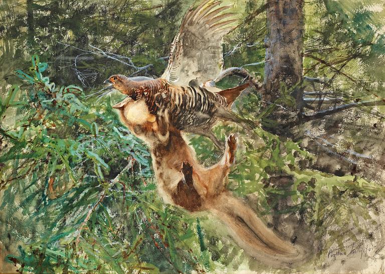 Bruno Liljefors, "Barrskog med skogsmård anfallande en orrhöna" (Forest scene with pine marten attacking a Black Grouse Hen).