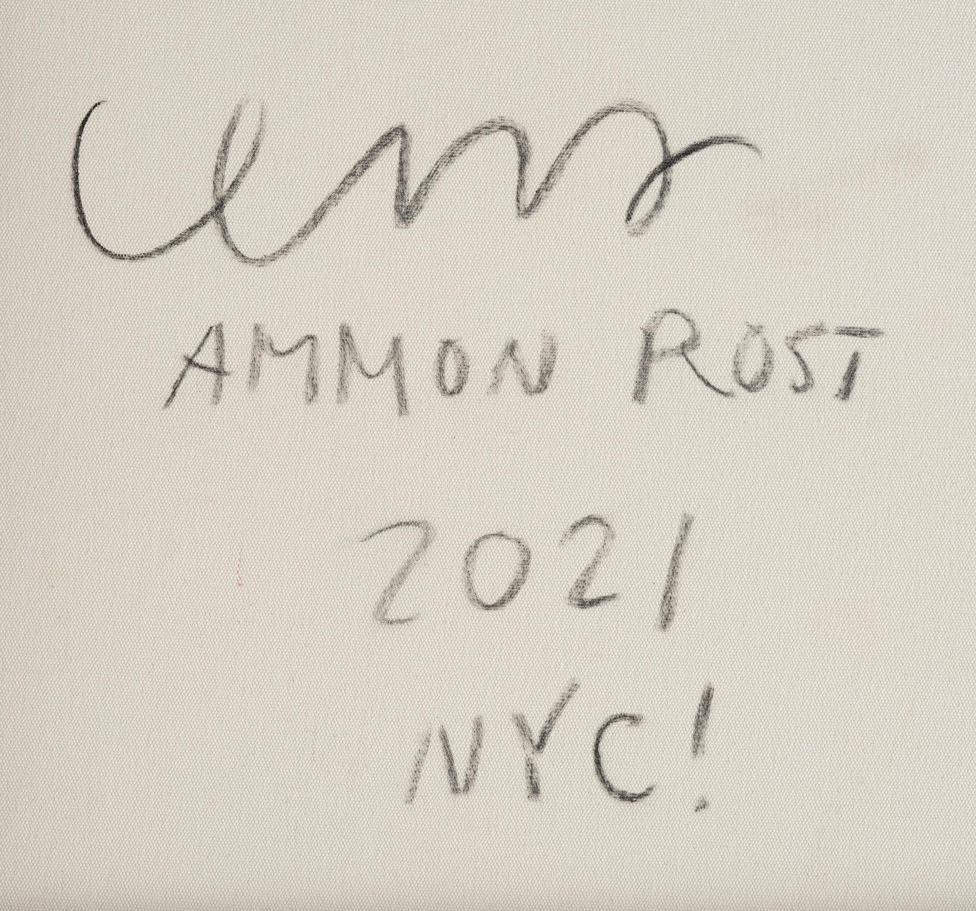 Ammon Rost, "Dream City".