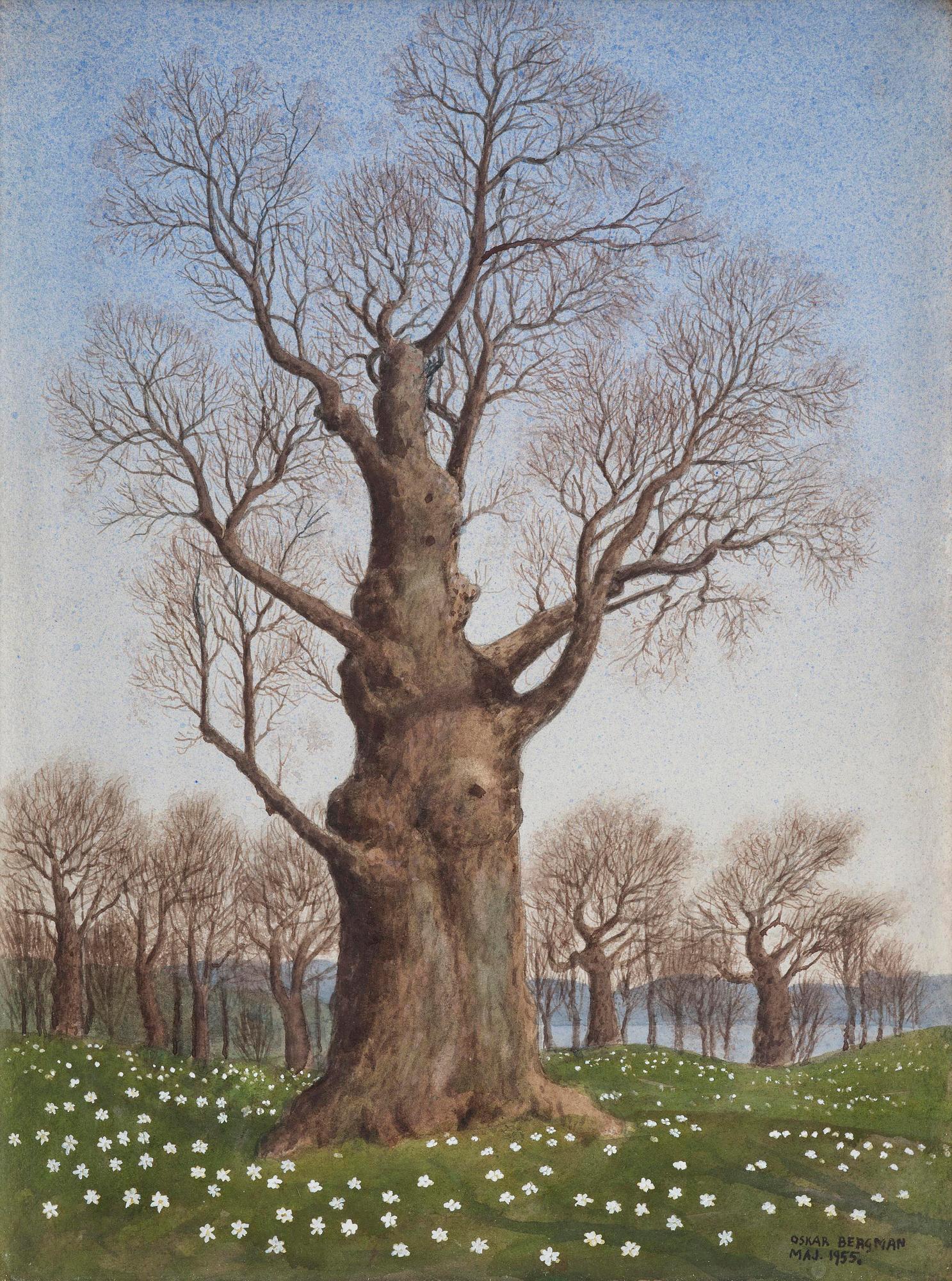 Oskar Bergman, Oak in a spring landscape.