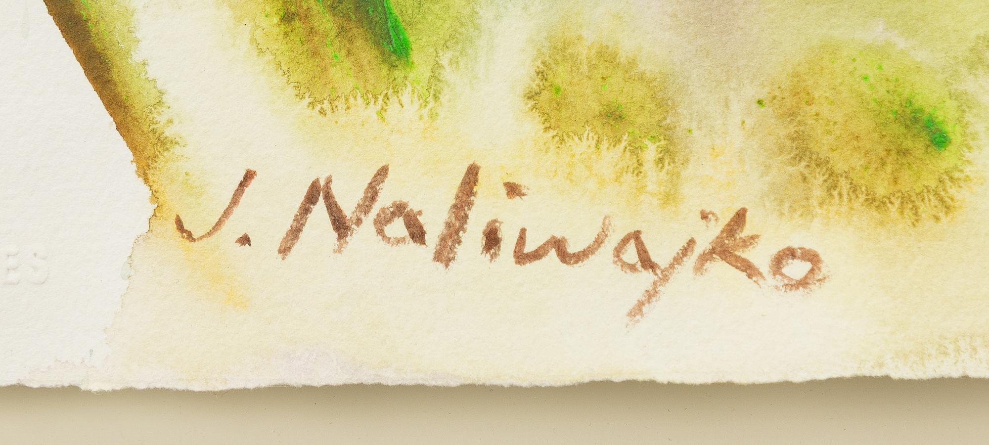 Jan Naliwajko, Untitled.
