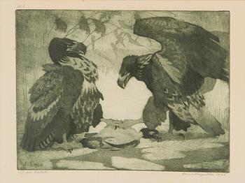 Lennart Segerstråle, Kotkat.