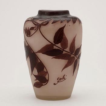 VAS, glas, Emile Gallé, Nancy, Frankrike, jugend.