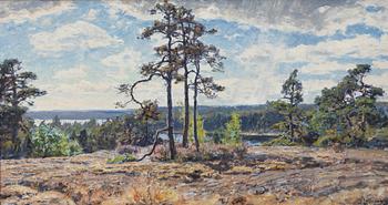 Gottfrid Kallstenius, Archipelago Landscape.
