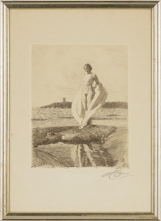 Anders Zorn, "Svanen".