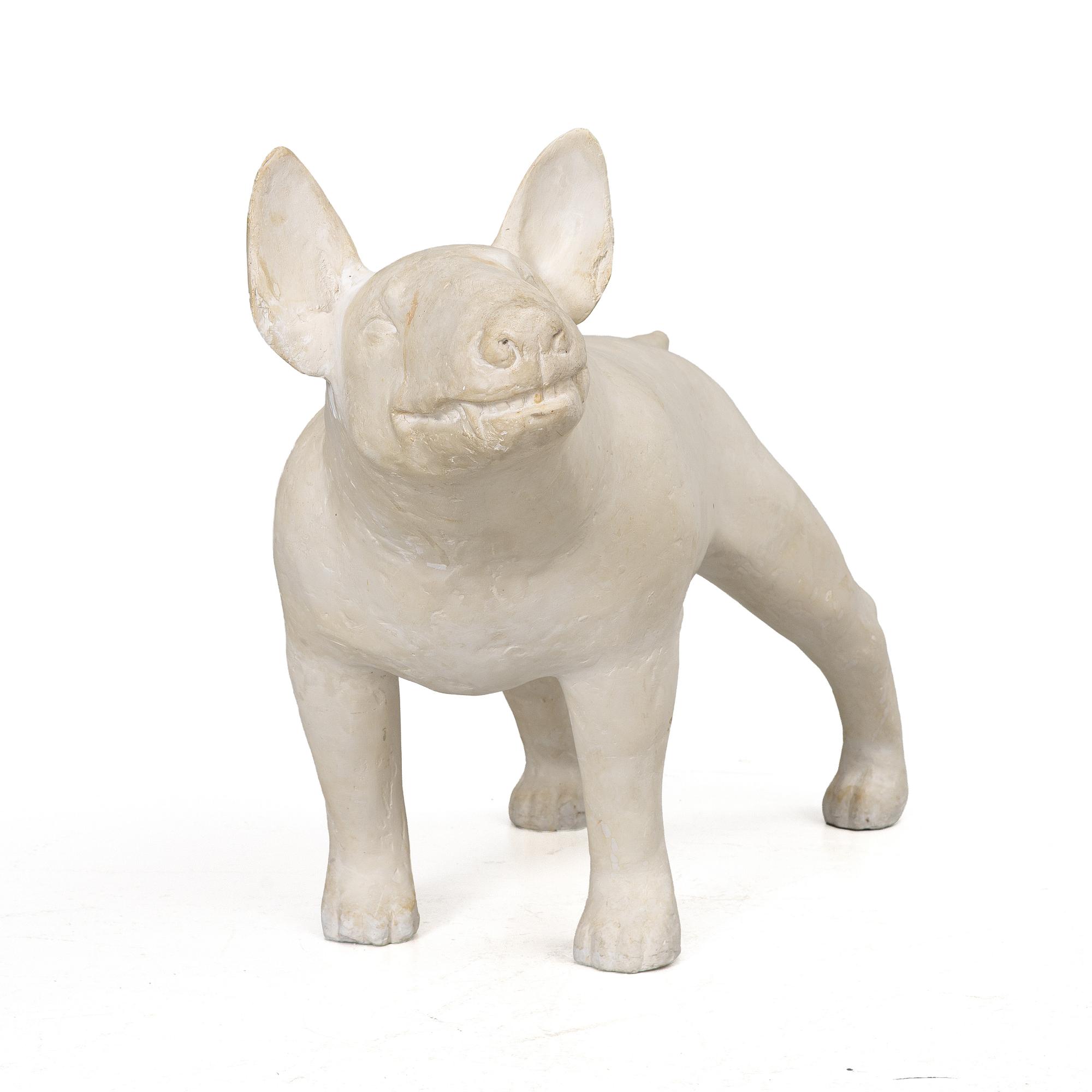 Sonja Pettersson, Bull Terrier.