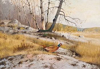 424. Ejnar Kohlmann, PHEASANT IN THE FOREST.