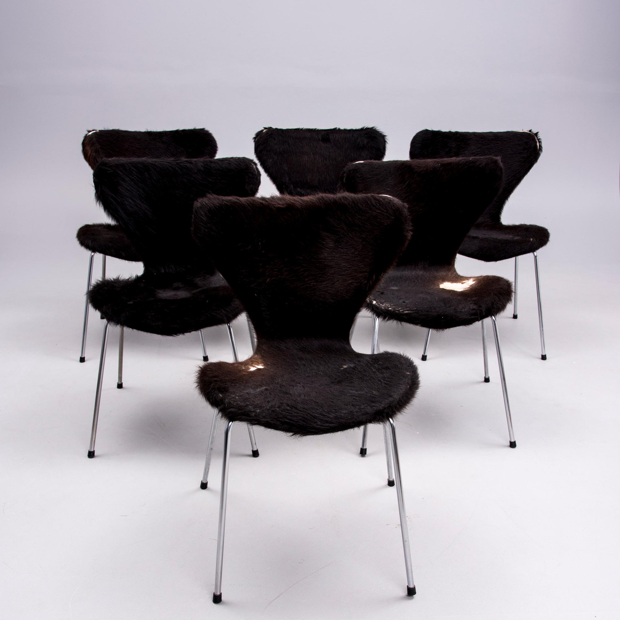 STOLAR, 6 st, "Sjuan" Arne Jacobsen, Fritz Hansen.