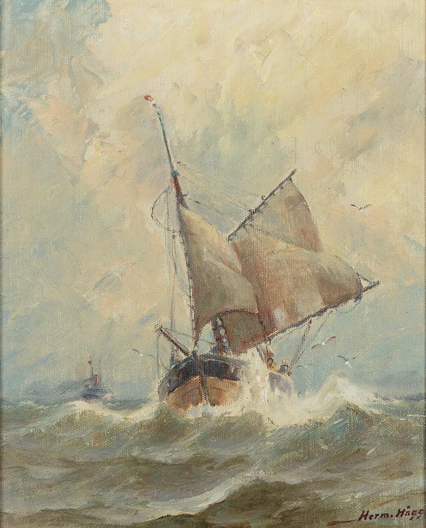 Herman Hägg, Fishing Schooner.