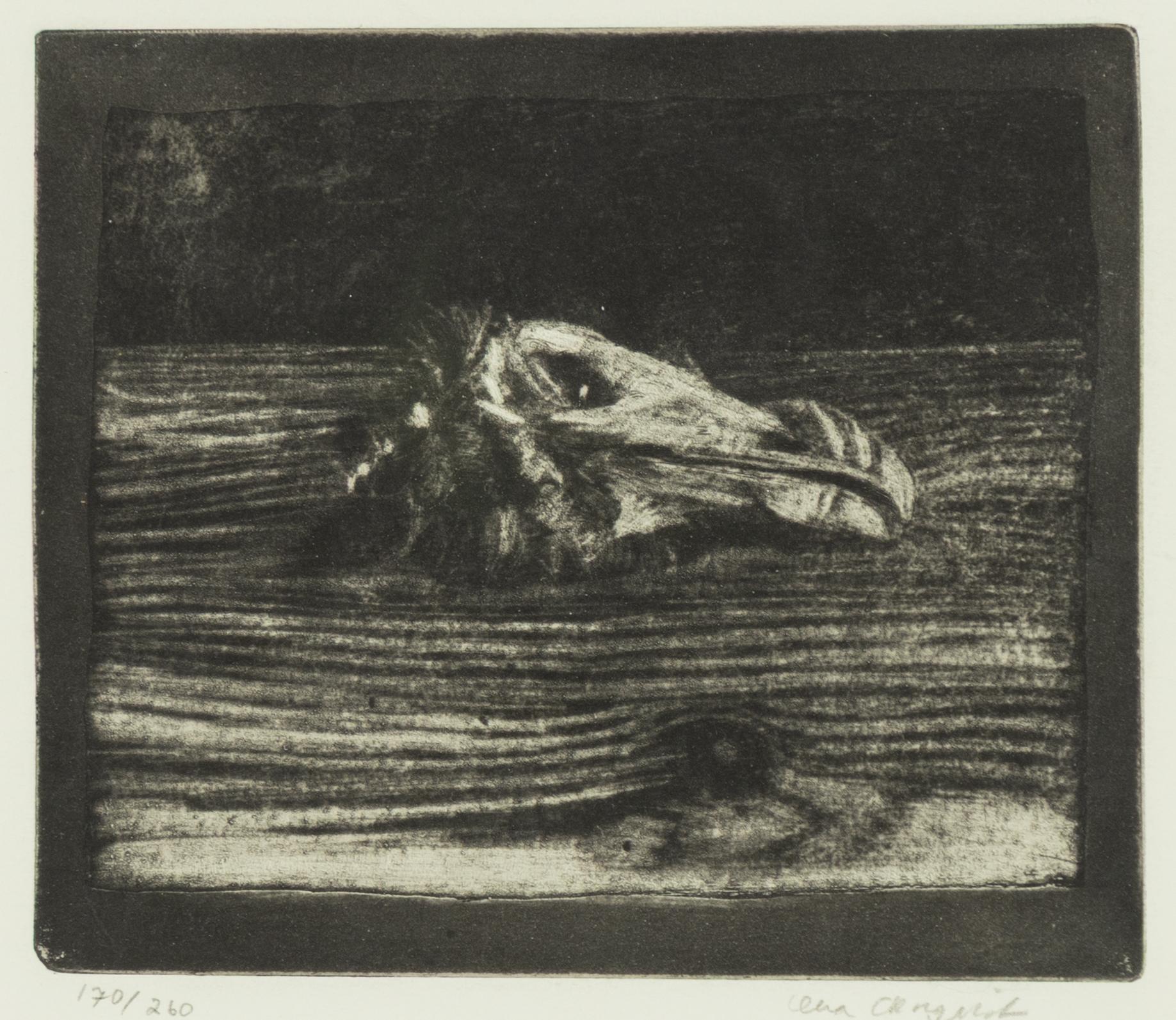 Lena Cronqvist, "Tordmule".