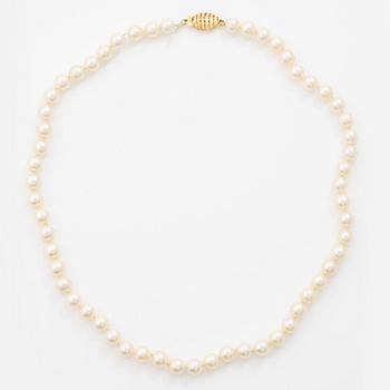 Collier, med odlade pärlor, lås 14K guld.
