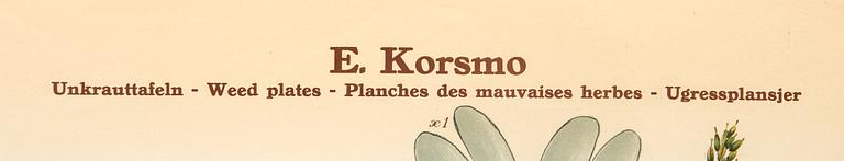 Emil Korsmo, 29 lithographic weed plates.