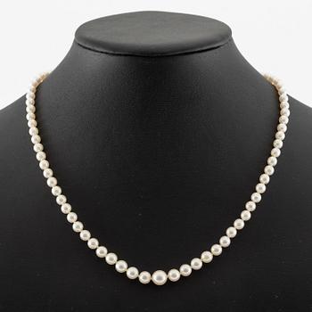 Necklace with graduated cultured pearls, clasp 18K gold.