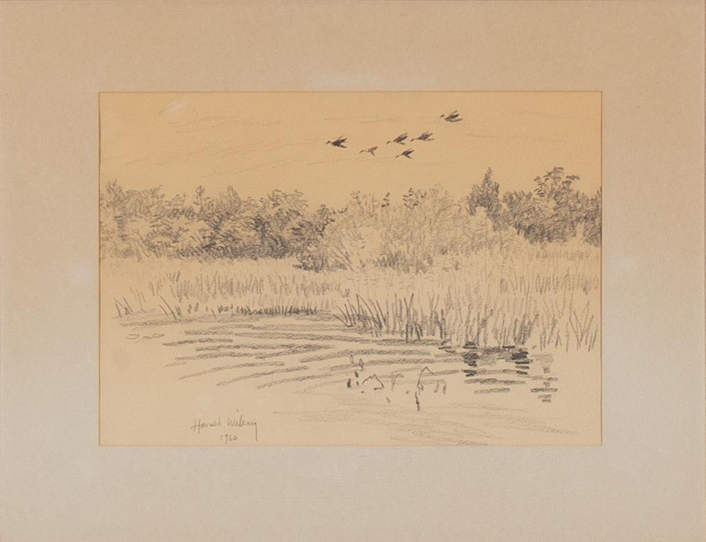 Harald Wiberg, Fågelsträck.