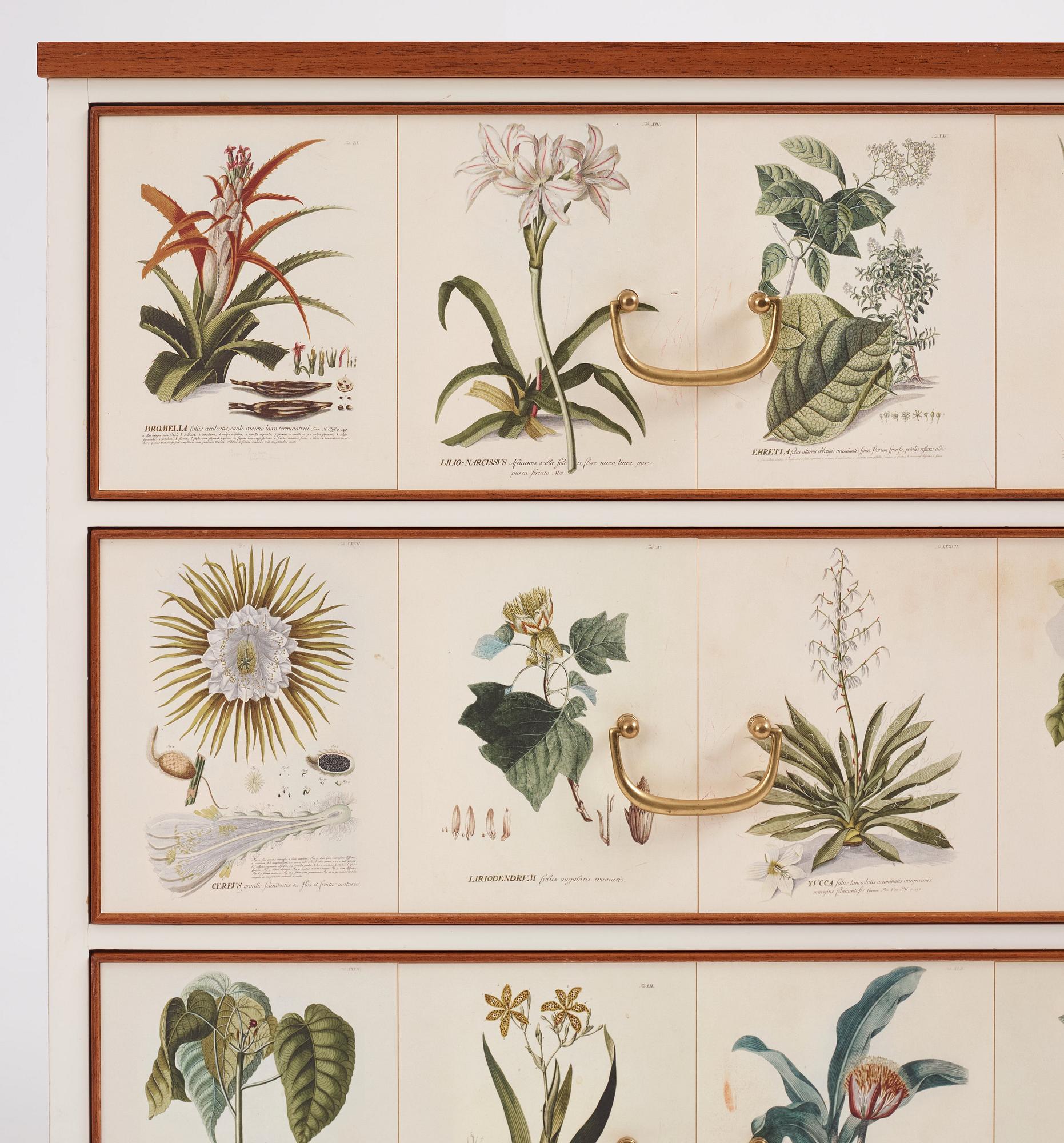 Josef Frank, Florabyrå Linné", jubileumsutgåva, Firma Svenskt Tenn 2007, modell 1050, ed. 31/50.