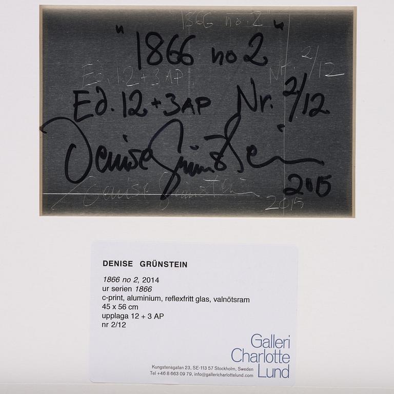 Denise Grünstein, "1886 no 2", 2015.